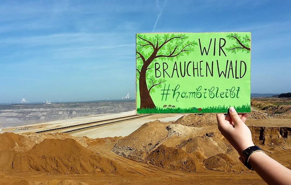 Hand hält Schild mit Text: "Wir brauchen Wald. #hambi bleibt"