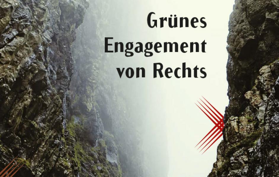 Foto Schlucht im Nebel mit Titel: "Grünes Engagement von Rechts"