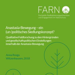 Coverabbildung der Bachelorarbeit