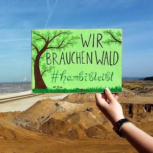 Hand hält Schild mit Text: "Wir brauchen Wald. #hambi bleibt"
