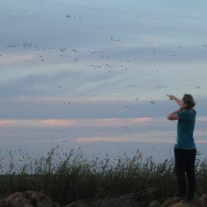 Frau zeigt auf am Himmel fliegenden Vogelschwarm