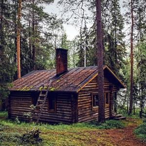 Blockhütte im Wald