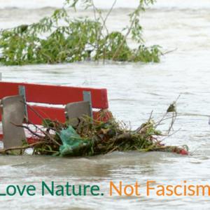 Parkbank halb im Hochwasser versunken