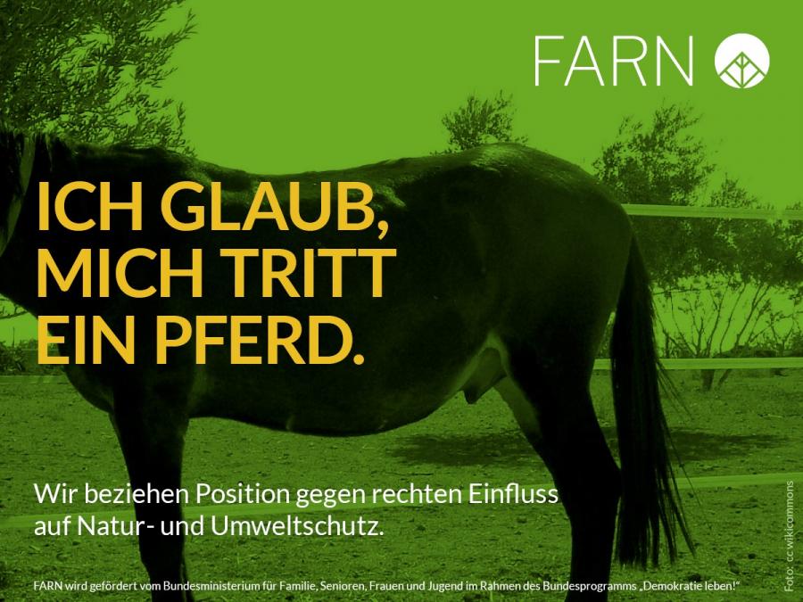 Sharepics | FARN  Fachstelle Radikalisierungsprvention und Engagement im  Naturschutz
